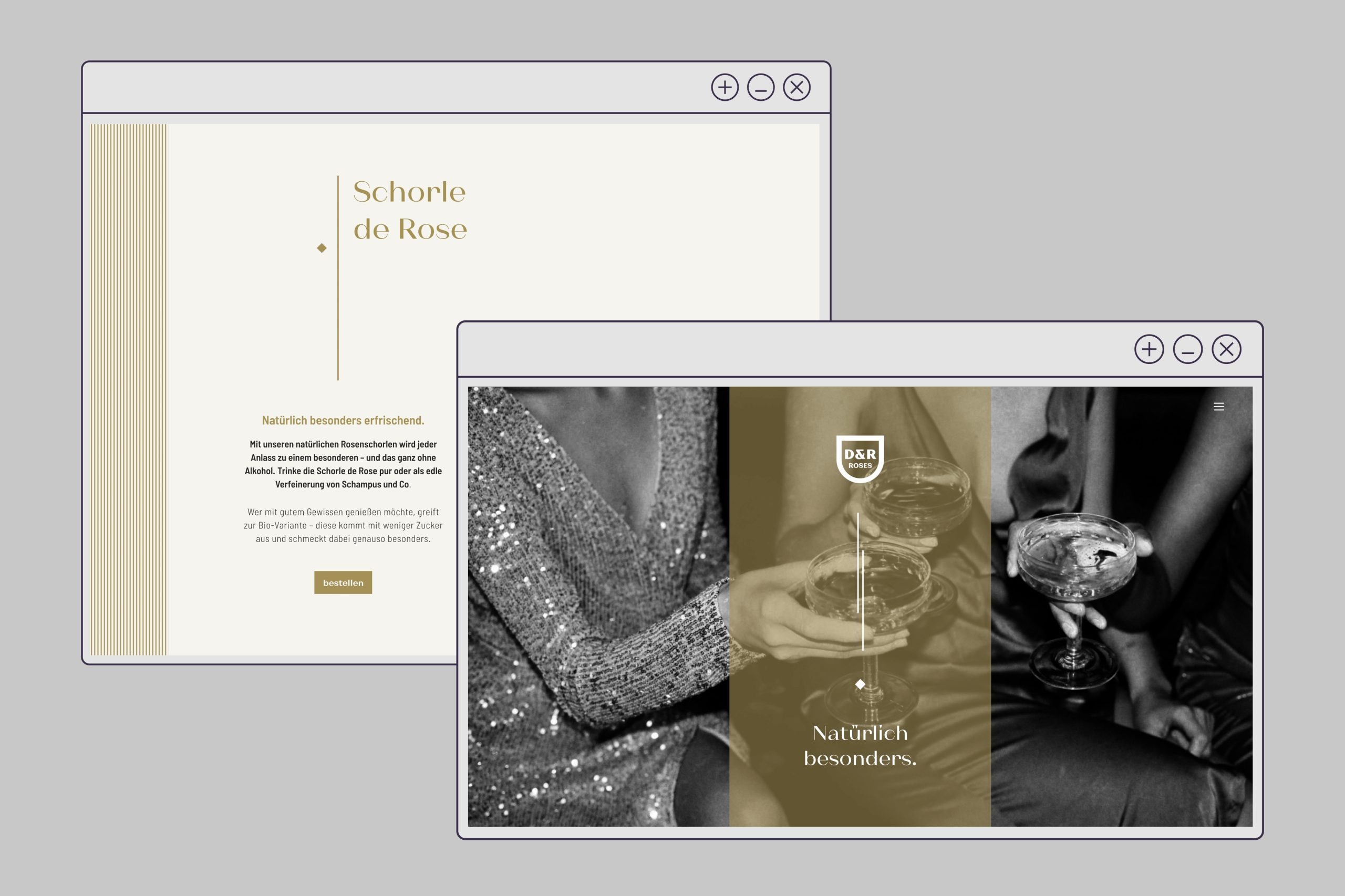 Website Design Wien
